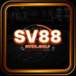 SV88 golf profile picture