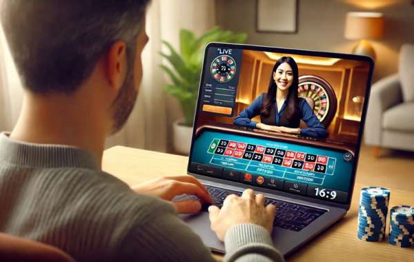 Discover the Excitement of Online Casinos