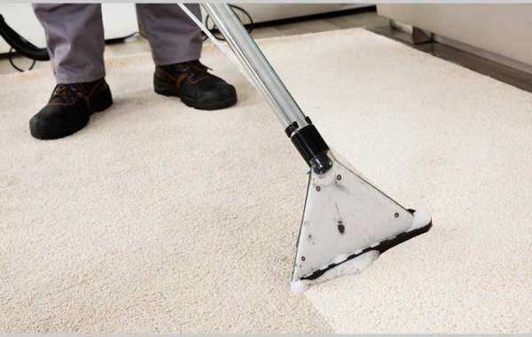 Carpet Cleaning for a Healthier, More Comfortable Living Space