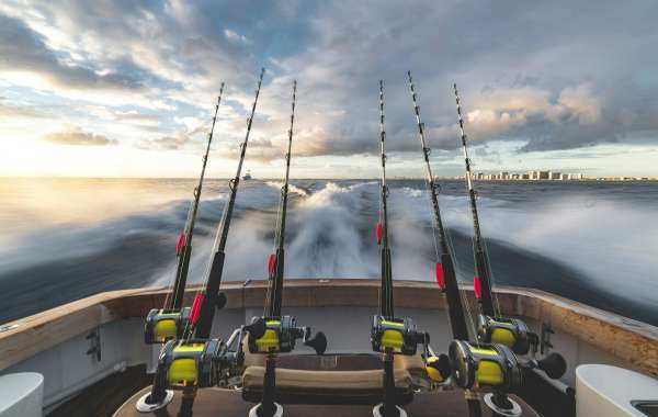 Fishing Gear Trends: What's New for Shimano FX 2500HG and Fishing Rods in 2024