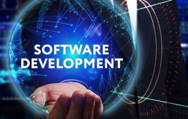 How to Choose the Right Software Development Partner Company in India for Your Custom Project?