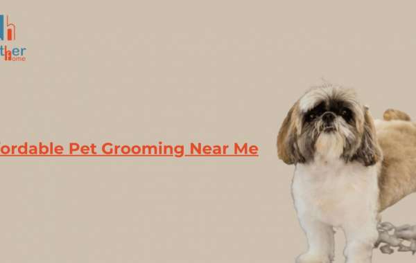 Affordable Pet Grooming Near Me