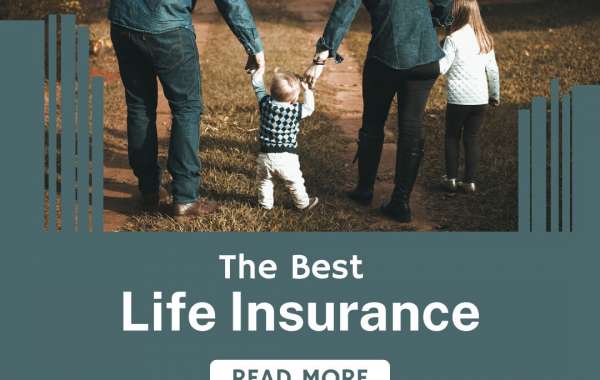 A Full Guide to Find the Best Life Insurance Companies in Rewa