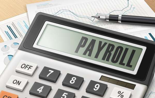 The Ultimate Guide to the Best Payroll Calculators on the Market