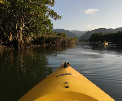 Why Oak Island Tours is the Best Way to Experience Amami Island