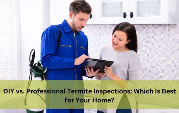 DIY vs. Professional Termite Inspections: Which Is Best for Your Home?