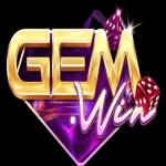 Gemwin net profile picture