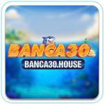 banca30 house profile picture