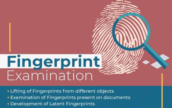 Fingerprint Matching: A Key Tool in Forensic Identification