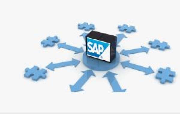 Easy Ways to Keep Up with SAP Changes This Year