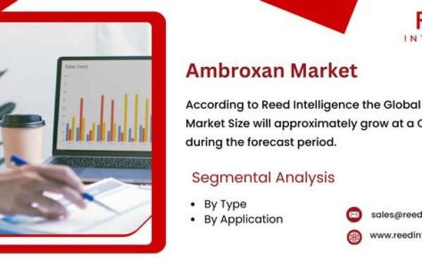 Ambroxan Market Market Size, Share, and Comprehensive Regional Analysis 2024-2032