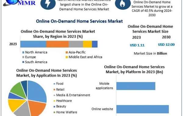 Online On-Demand Home Services Market Business Strategies, Growth Rate, Size, Share And Forecast 2030