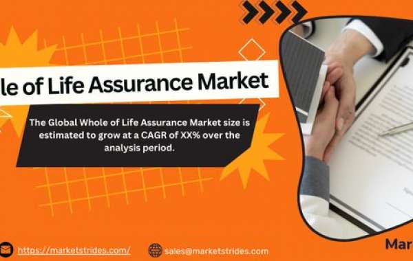 Whole of Life Assurance Industry: Growth and Forecast 2031 | Market Strides