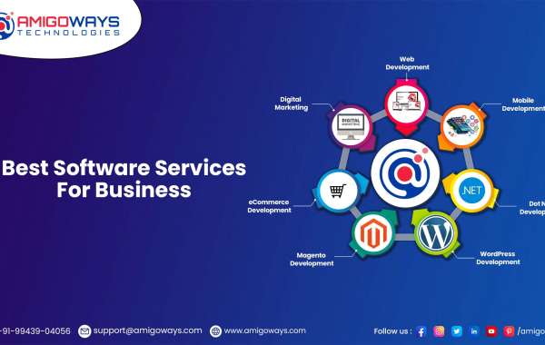 Best Software Company in Madurai – Amigoways