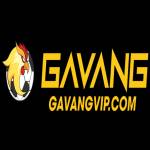 Gavang tv Profile Picture