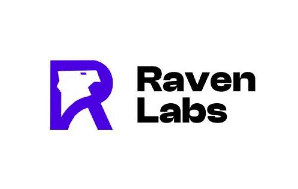 Raven Labs: Developing Cutting-Edge Technology to Innovate the Future