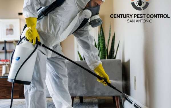 How to Choose the Right Exterminator in San Antonio