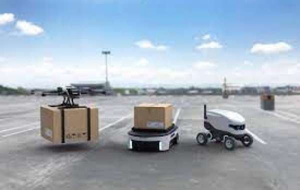 Automatic Delivery Robot Market Report By Flavor, Seasonality, Distribution Channel, and State 2032