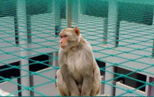 Monkey Bars Safety Nets in Bangalore | Strong & Durable Protection for Your Property