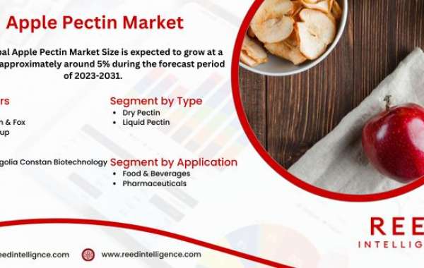 Apple Pectin Market Market Analysis: Opportunities, Threats, and Forecast Insights 2024-2032