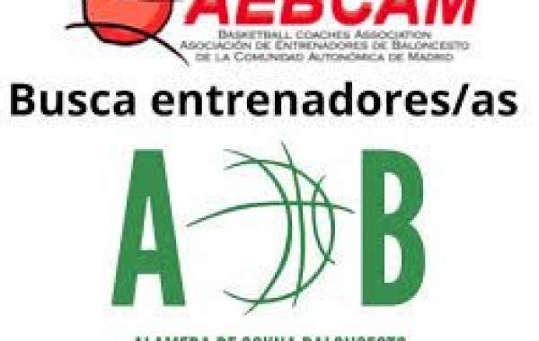 Libros de Baloncesto: Una Ventana al Mundo del Deporte