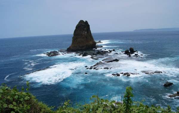 Jember Travel Guide: Car Rental Recommendations and Favorite Destinations