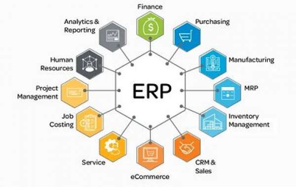 ERP Software Market Size, Share Global Trends, Drivers, Opportunities and Growth Forecast