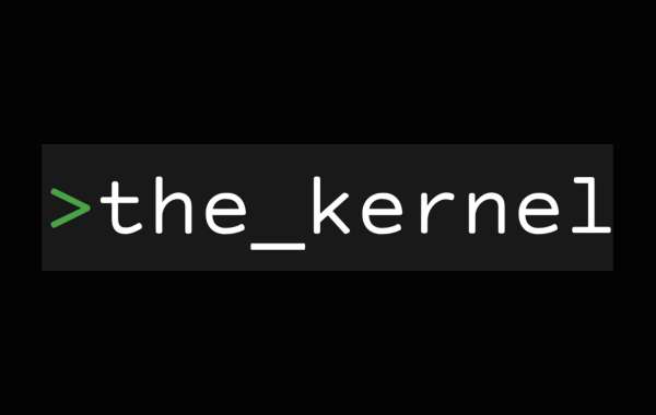 The Kernel: The Leading Cyber Security Distributor in Dubai