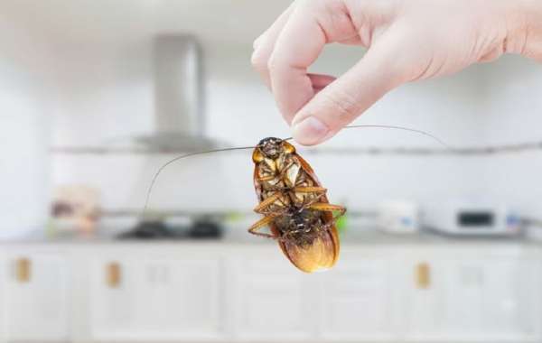 10 Effective Home Remedies for Cockroach Treatment