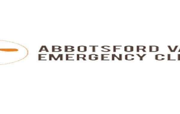 24/7 Emergency Vet Service in Hope and Abbotsford: Immediate Care for Your Pet