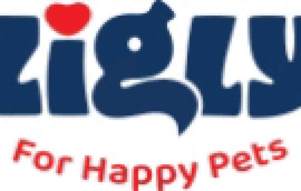 Zigly | Indore- Pet Grooming & Pet Products