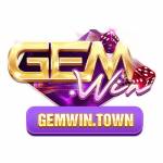 Gemwin town Profile Picture