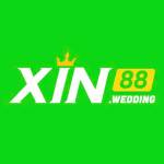 xin88wedding profile picture