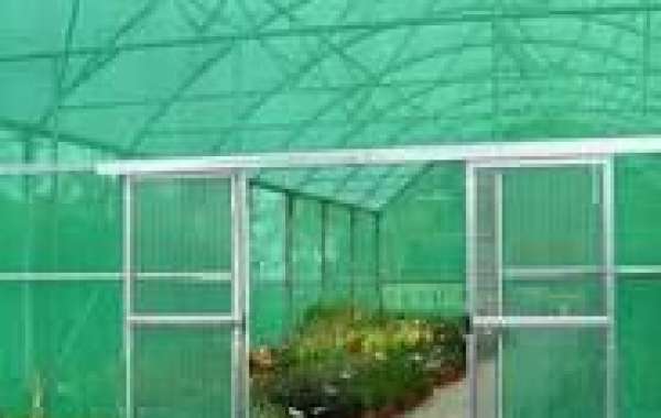 Nurturing Growth: The Impact of Green Shade Net on Plant Development in Dubai