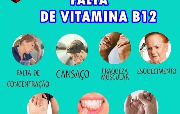 ¿Para qué es bueno el romero? Conoce sus propiedades y usos medicinales