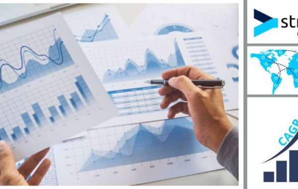 Flocculant & Coagulant Market Analysis Report: Size, Share, and Trends Forecast for the Next Period