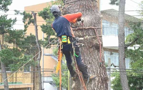 Biến Hóa Không Gian Làm Việc: 7 Bước Dọn Dẹp Văn Phòng Đơn Giản Nhưng Hiệu Quả