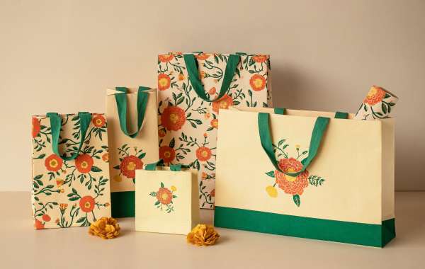 Paper Shopping Bags Manufacturing Plant Setup Cost Report 2024: Raw Materials and Industry Trends