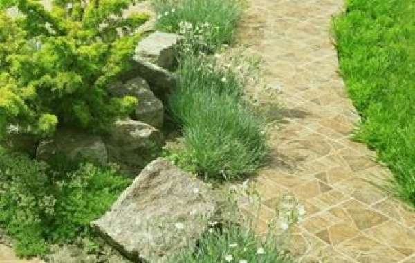 Expert Landscaping Procedures for Your Outdoor Space with Ipswich Elite