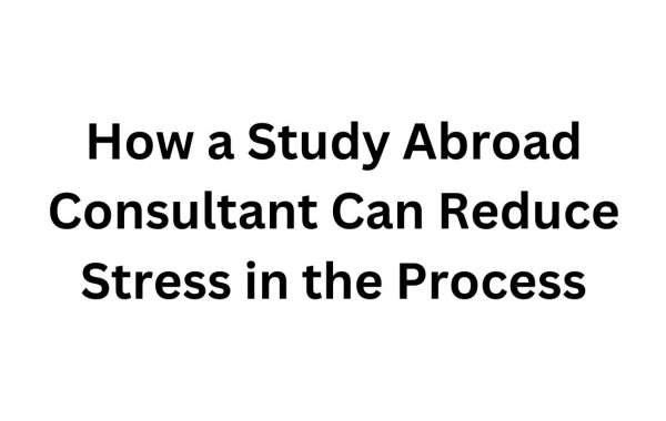 How a Study Abroad Consultant Can Reduce Stress in the Process