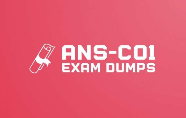 DumpsBoss ANS-C01 Exam Dumps: The Ultimate Prep Guide