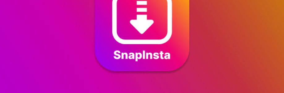 snapinsta ltd Cover Image