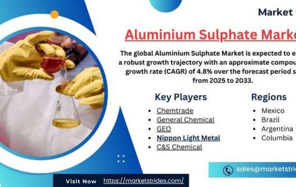 Growth Opportunities in the Aluminium Sulphate Market: Forecast to 2033