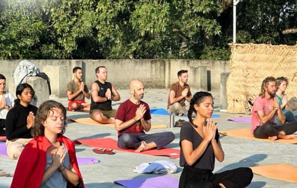 Best 200 Hours Yoga Teacher Training in India