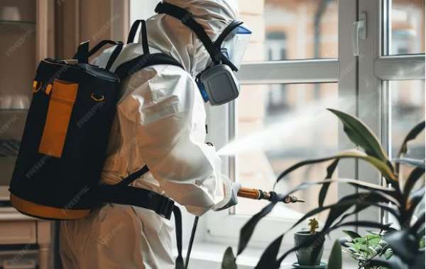 Pest Control on a Budget: Affordable Strategies That Work