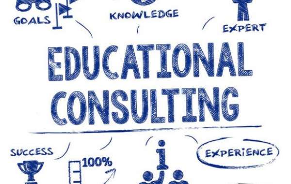 How Educational Consultants Help Shape Academic Success