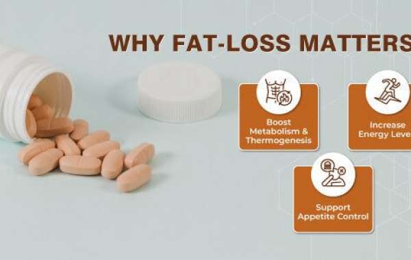 The Ultimate Guide to Finding the Best Fat Burner in India