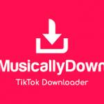 musicallydownloader Profile Picture