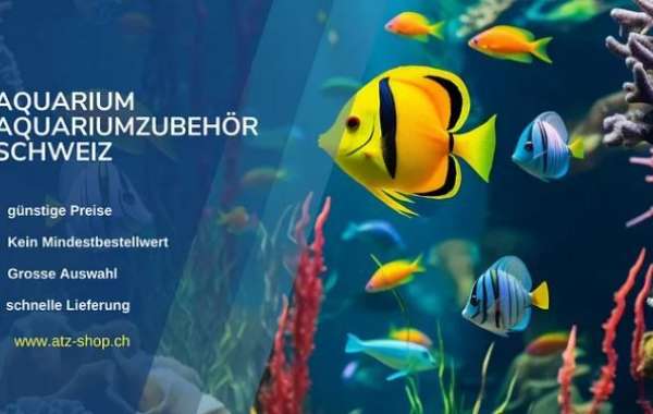 Welche Zubehör braucht man zur Reinigung des Aquariums?