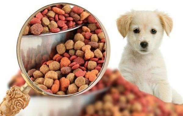 Pet Food Manufacturing Plant Project Report 2024: Infrastructure Necessities, Requirements and Cost